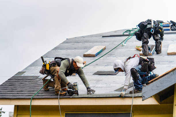 Professional Roof Installation technician working in Waterloo, NY